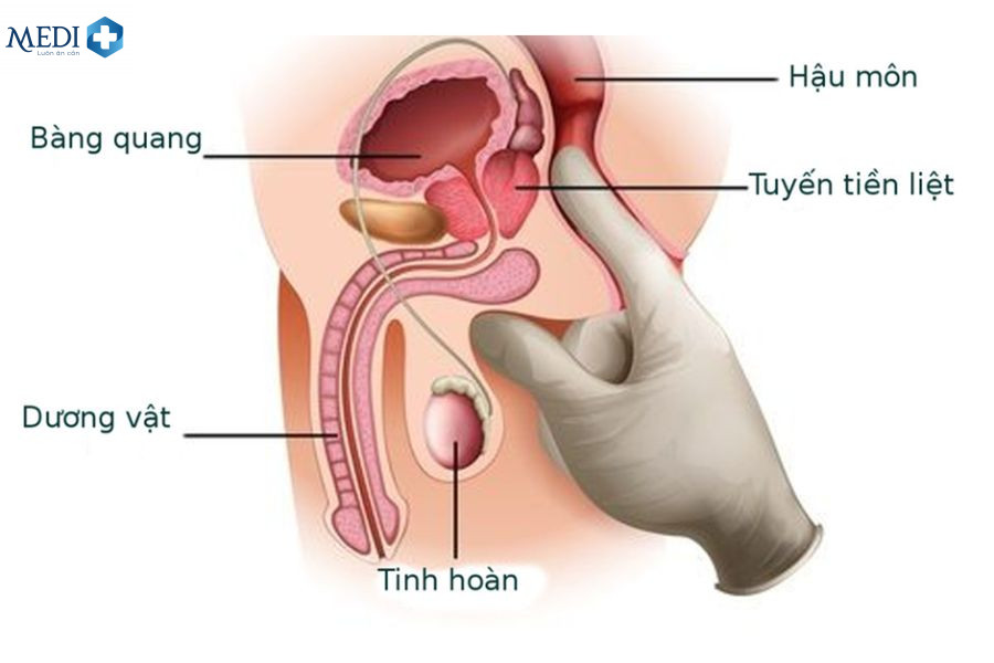 Quan hệ tình dục giúp kiểm soát bàng quang