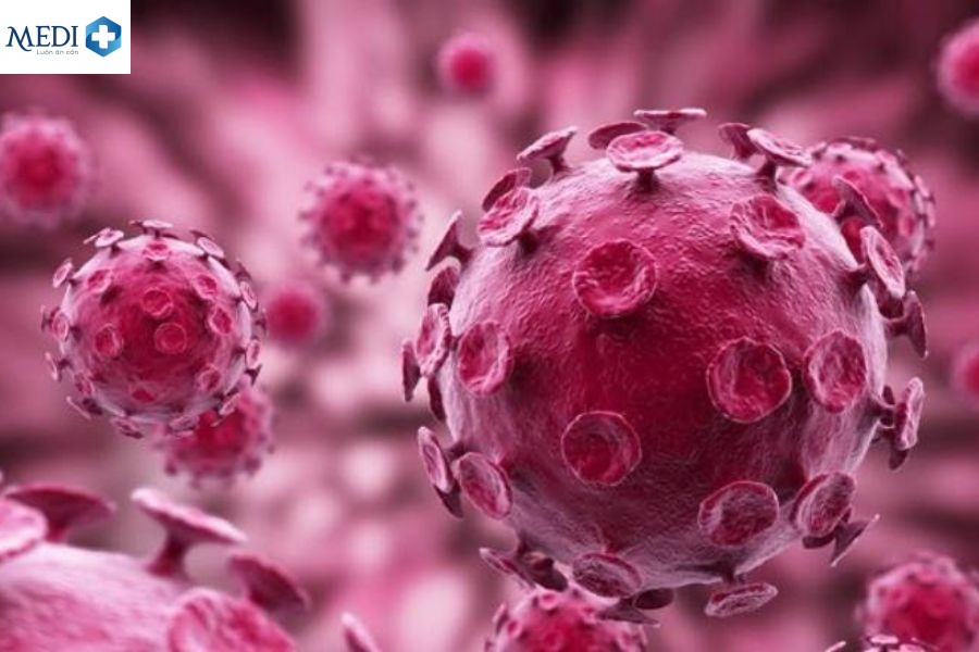 Virus HPV là nguyên nhân chính gây ra bệnh sùi mào gà 