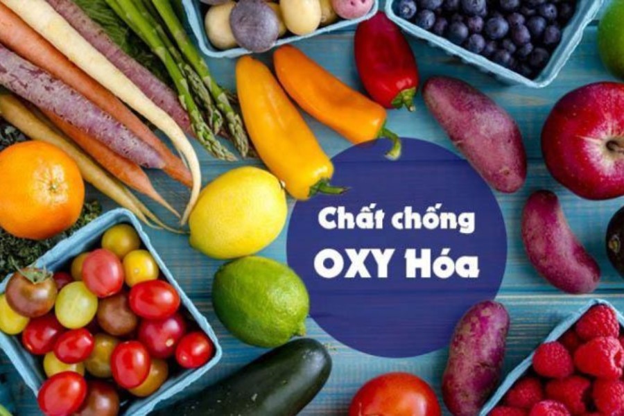 Tăng cường bổ sung chất chống Oxy hóa giúp phòng ngừa xuất huyết dạ dày