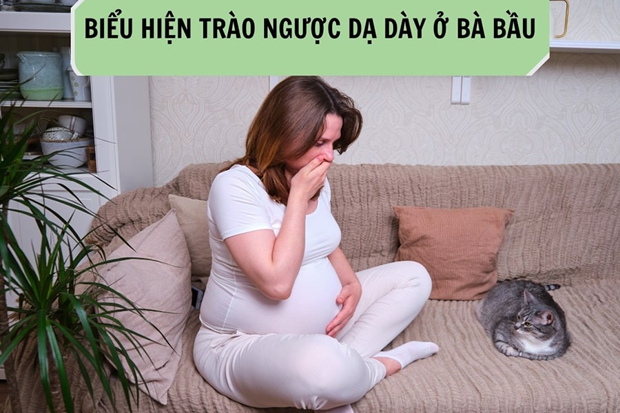 Thuốc Pepsane hỗ trợ giảm trào ngược dạ dày