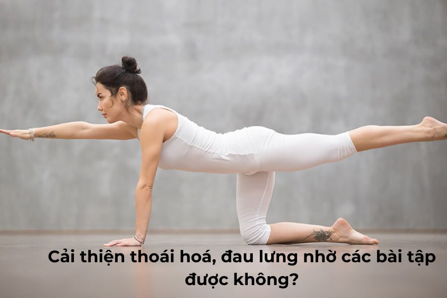 Những bài tập có tác dụng gì trong cải thiện thoái hoá và đau lưng